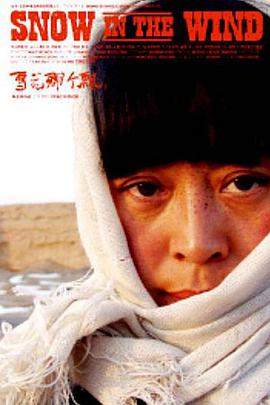 雪花那個(gè)飄2006